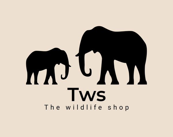 The wildlife shop